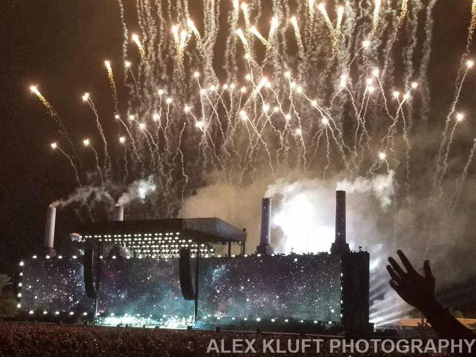 14517545_10154000933657749_4128480998856696862_n