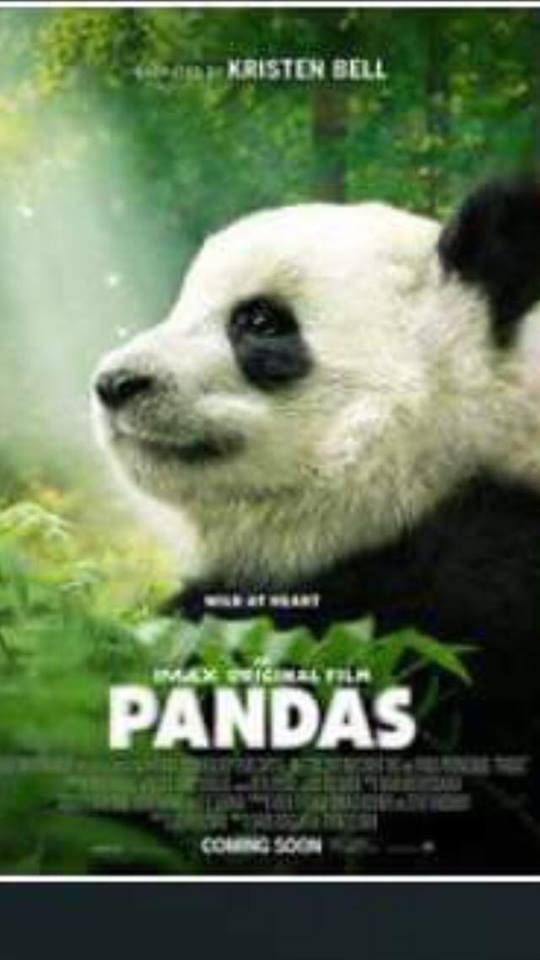 CRN’S Top 21 Movies of the Summer&nbsp;2018